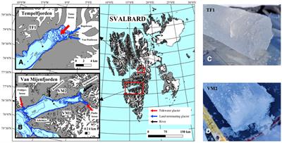 Photophysiological responses of bottom sea-ice algae to fjord dynamics and rapid freshening